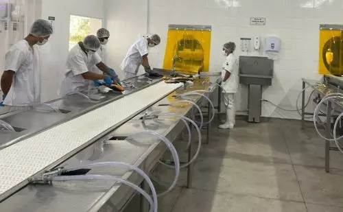 CARIMBADO ][  Indústria de pescado em Almas recebe certificação para vender em todo o Tocantins
